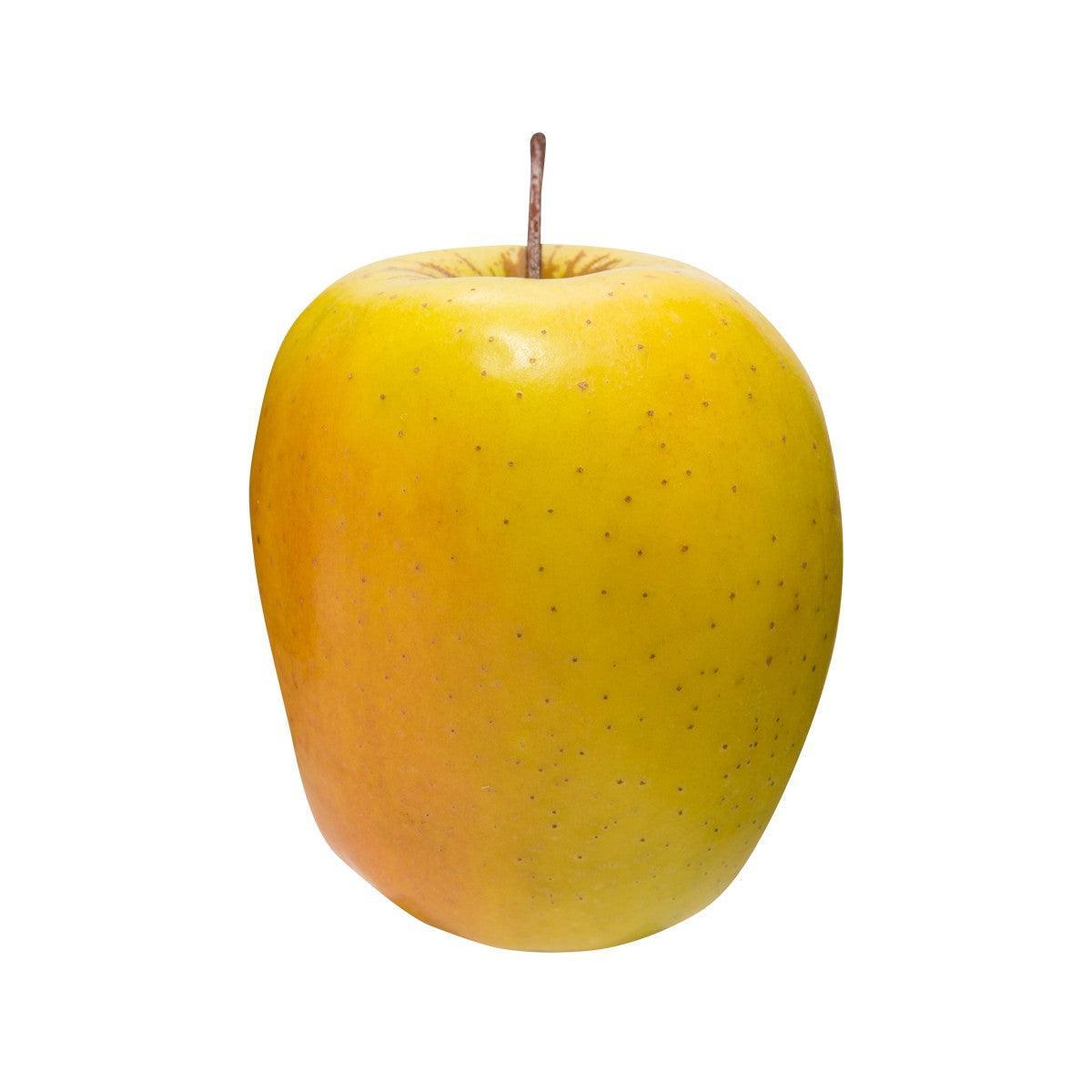 MOUNEYRAC French Golden Rosee Apple