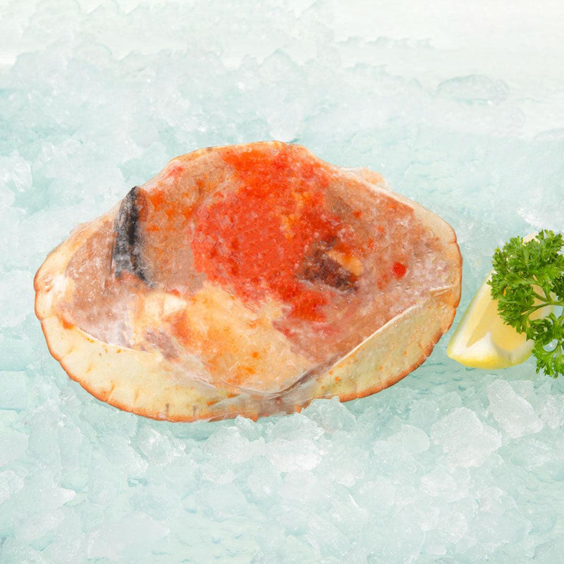 Norway Dressed Brown Crab (Previously Frozen)  (1pc)