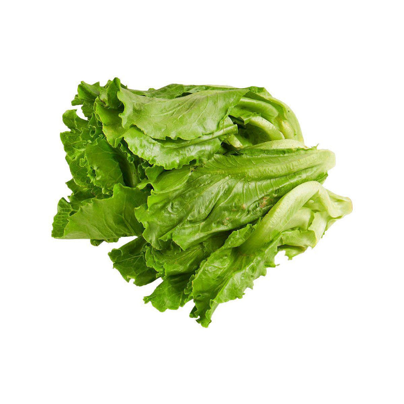 Local Hydroponics Chinese Lettuce  (300g)