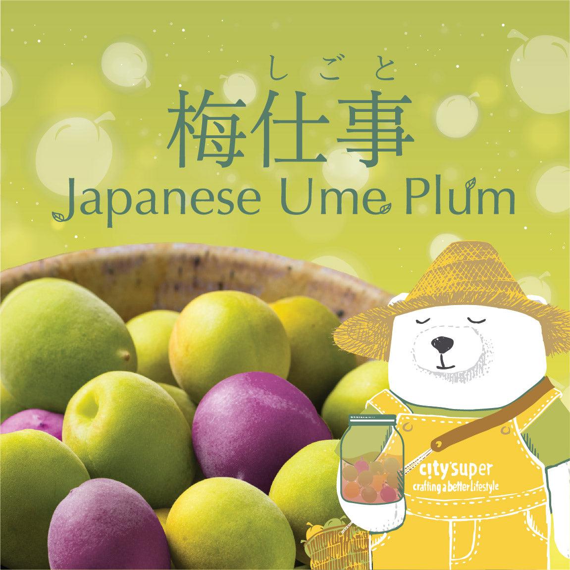 Japanese Ume Plum city'super