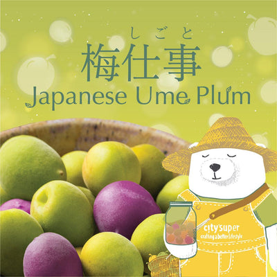 Japanese Ume Plum