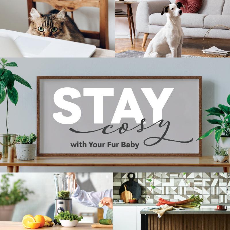 Stay Cosy with Your Fur Baby - city'super E-Shop