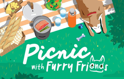 Picnic with Furry Friends