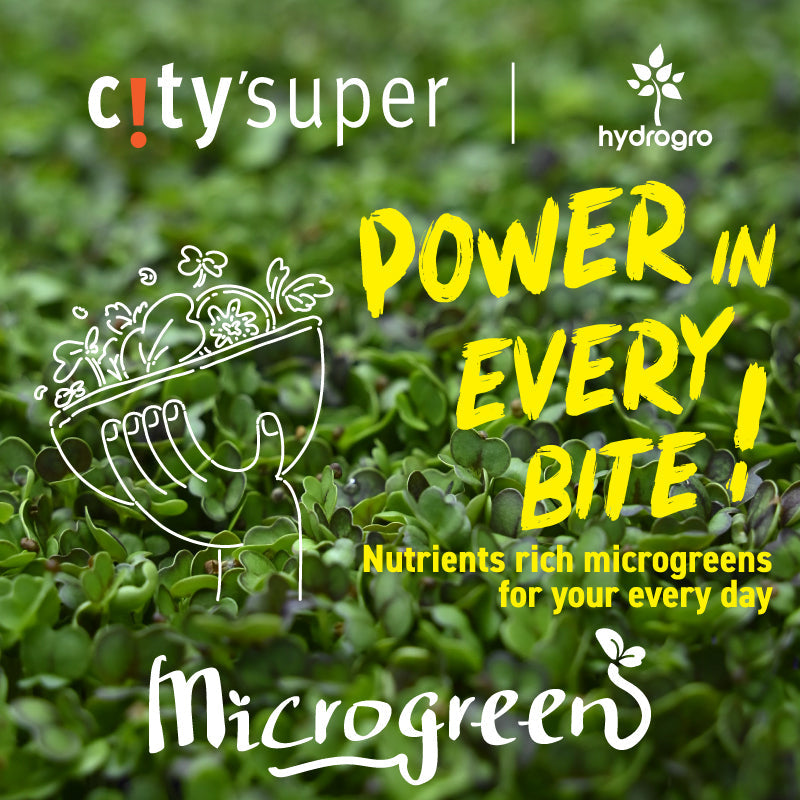 The Appeal of Hydroponic Microgreens