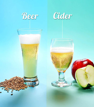 蘋果酒 vs. 啤酒: 有甚麼分別？