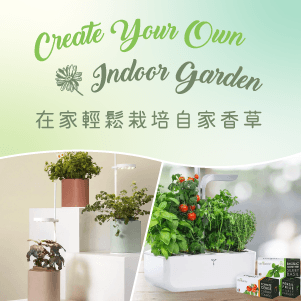 Terms and Conditions of Indoor Garden Offer 2023