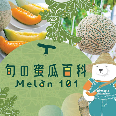 Melon 101