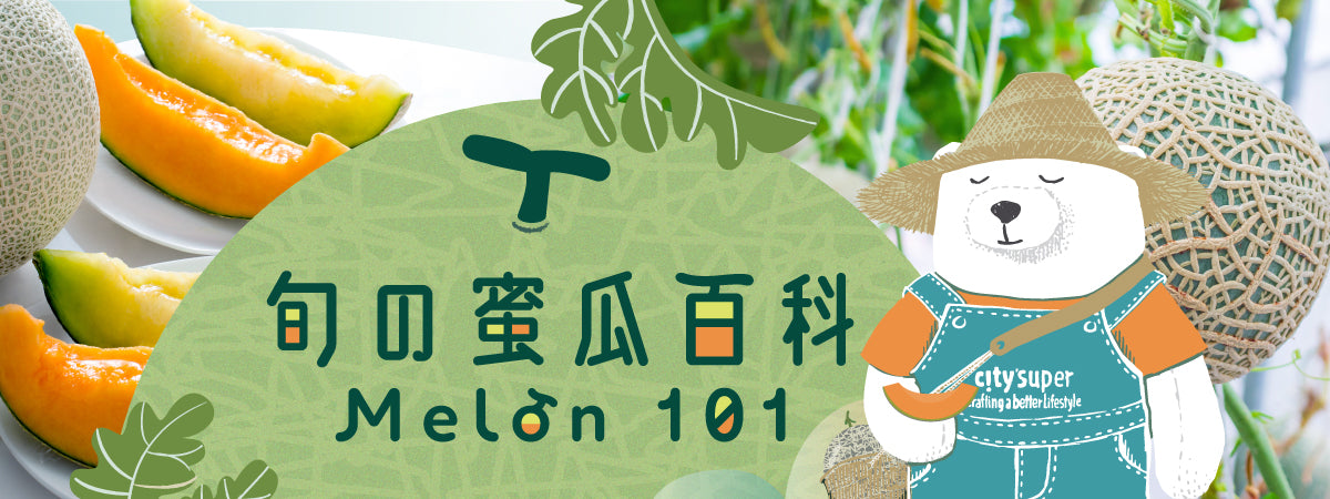 Melon 101 2024