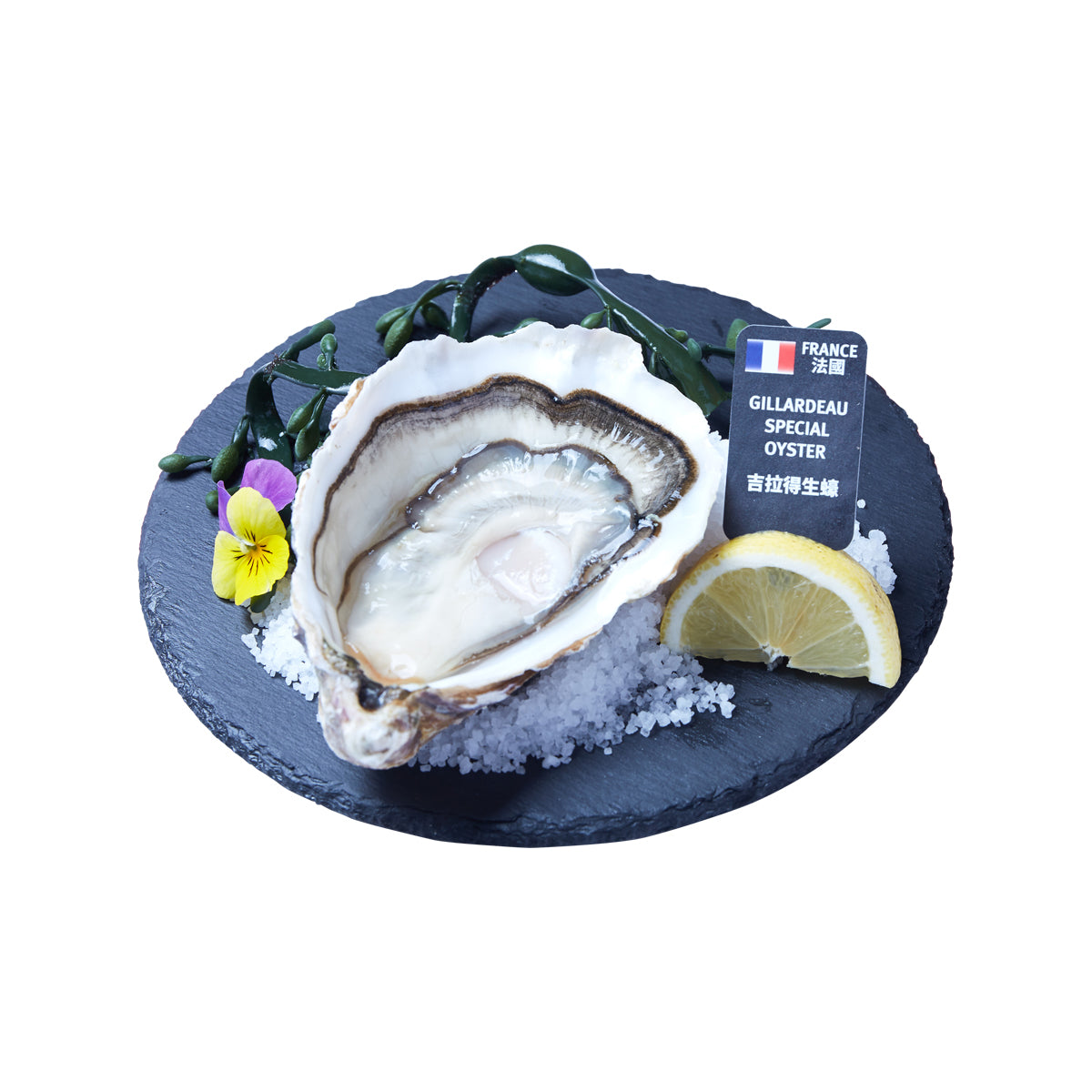 GILLARDEAU 法國吉拉得生蠔Nr.0  (1pc)