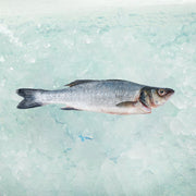 OSO 希臘有機養殖海鱸魚 (100g)