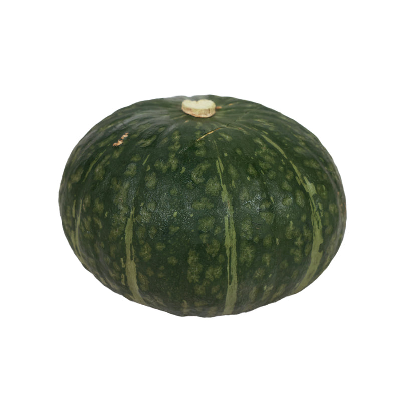 Japan Hokkaido Chestnut Maron Pumpkin  (1pc)