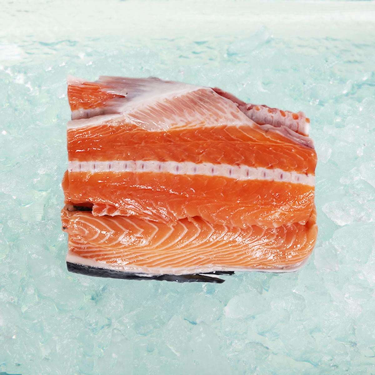 Irish Organic Salmon Fish Bone  (300g)