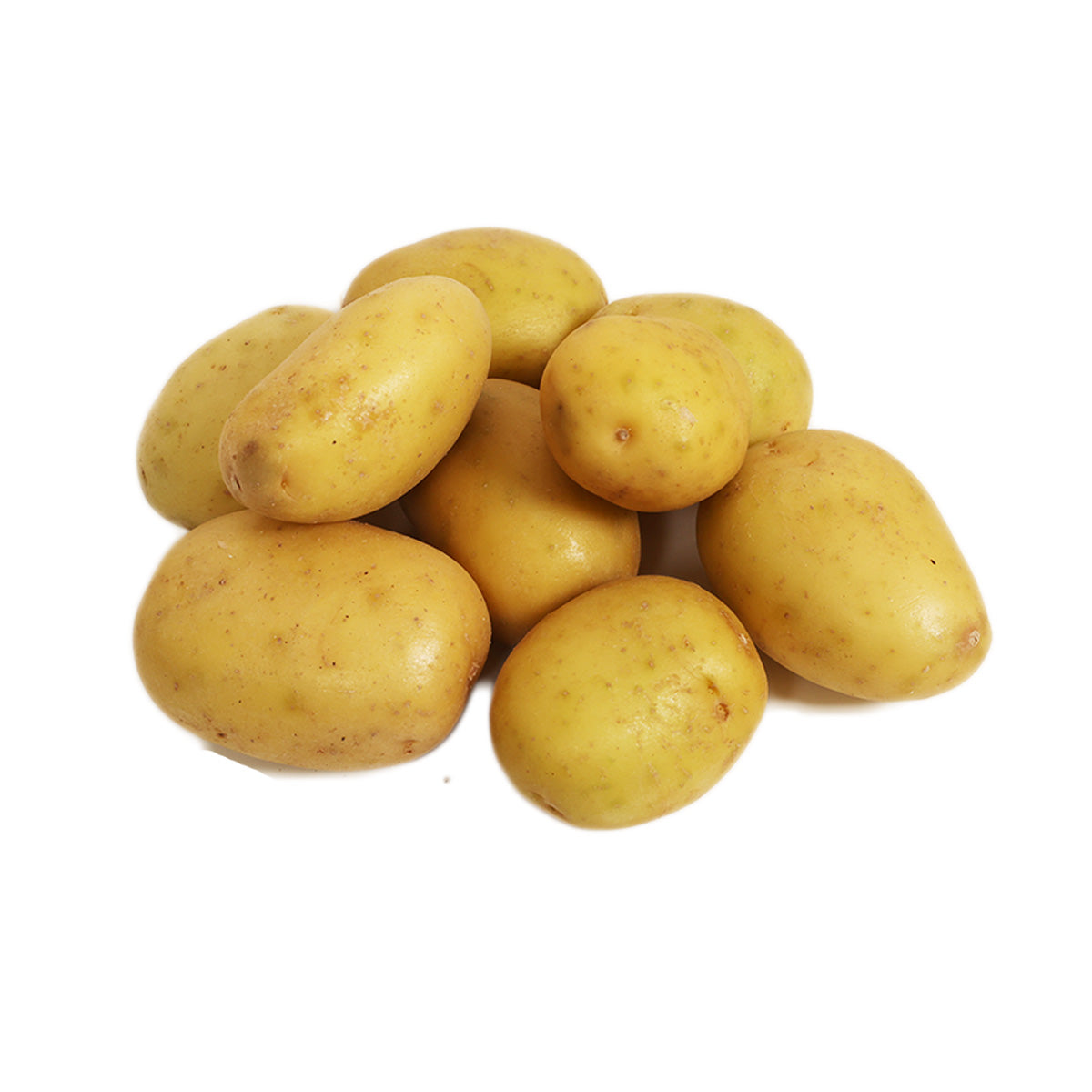 French La Bonnotte de Noirmoutier Potato  (600g)