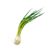 Japanese Asakura Farm Spring Onion  (1pack)