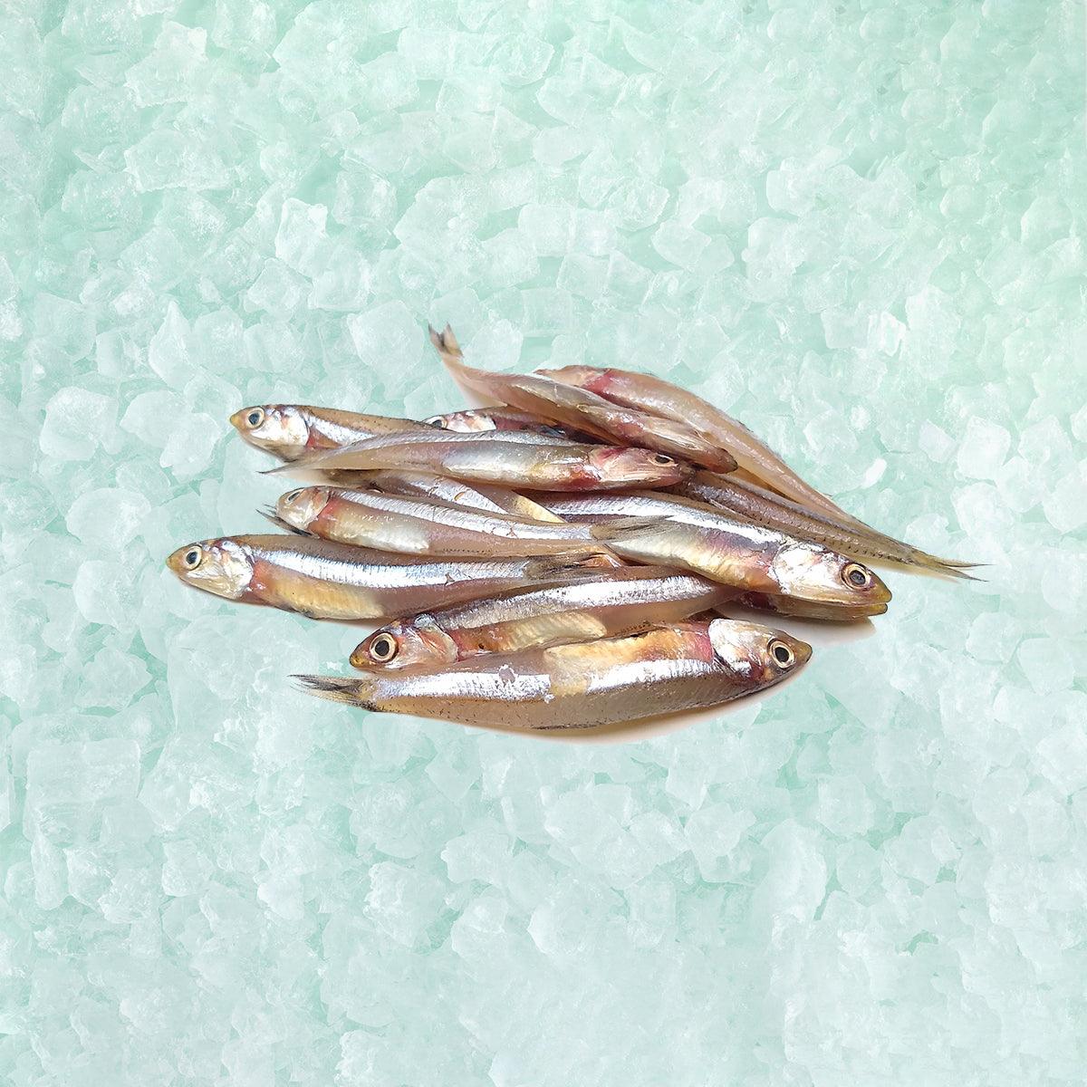 MARUSATSU Japan Kagoshima Salted Smelt Fish with Roes [Previously Frozen]  (8pcs)