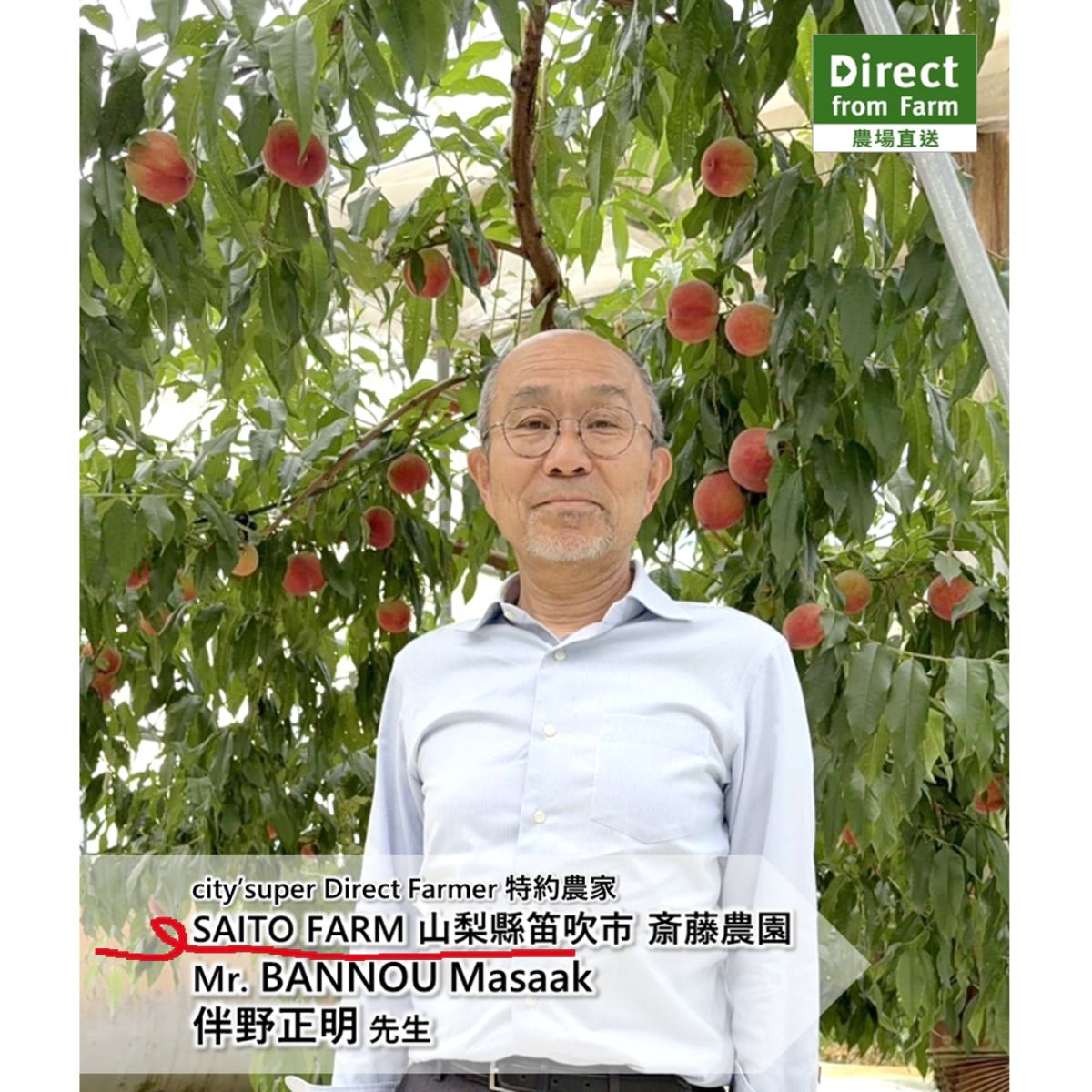 Japan Peach Tasting Workshop (Members Only) - 11 July 2026 (Sat)