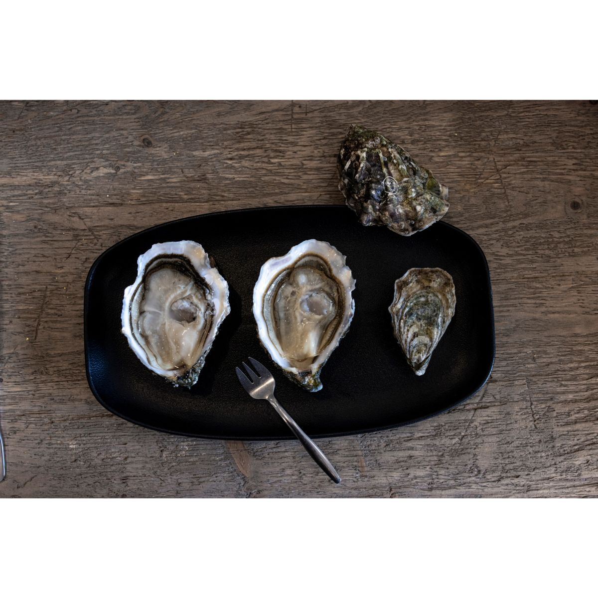 From French Seashore to Your Plate - 12 (Fri) June 2026