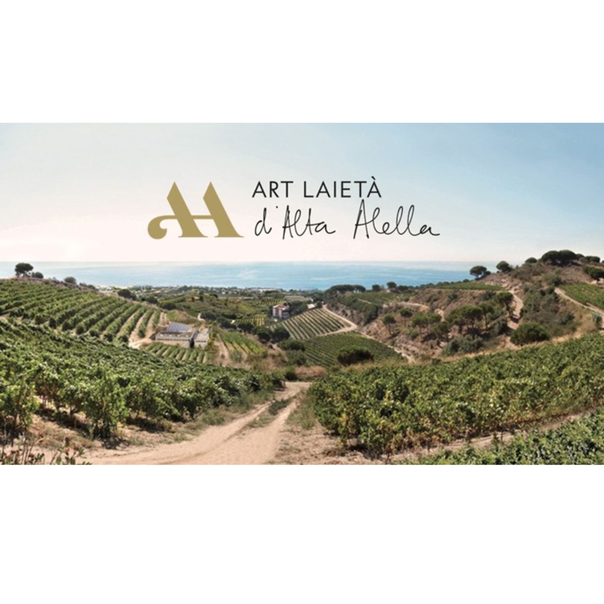 Art Laietà d’Alta Alella Tasting Workshop