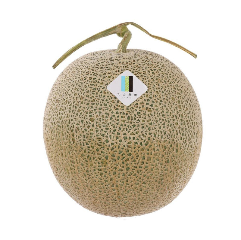 Japan Hokkaido Maruyama Farm Tsuyabeni Red Meat Melon  (1pc)