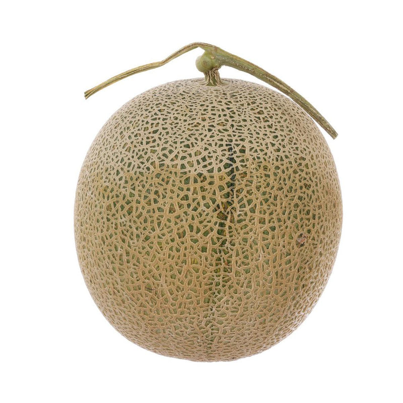 Japan Hokkaido Maruyama Farm Tsuyabeni Red Meat Melon  (1pc)