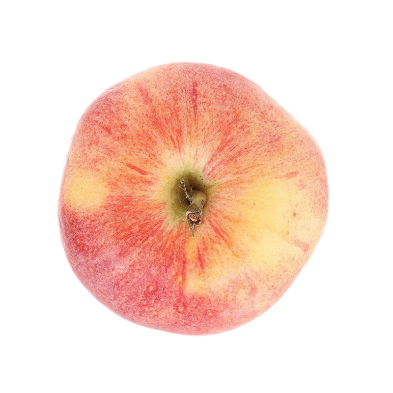 Italian Organic Gala Apple  (1pc)
