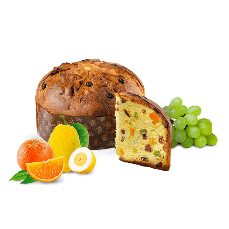 LOISON Classic Panettone a.D. 1476 (500g)