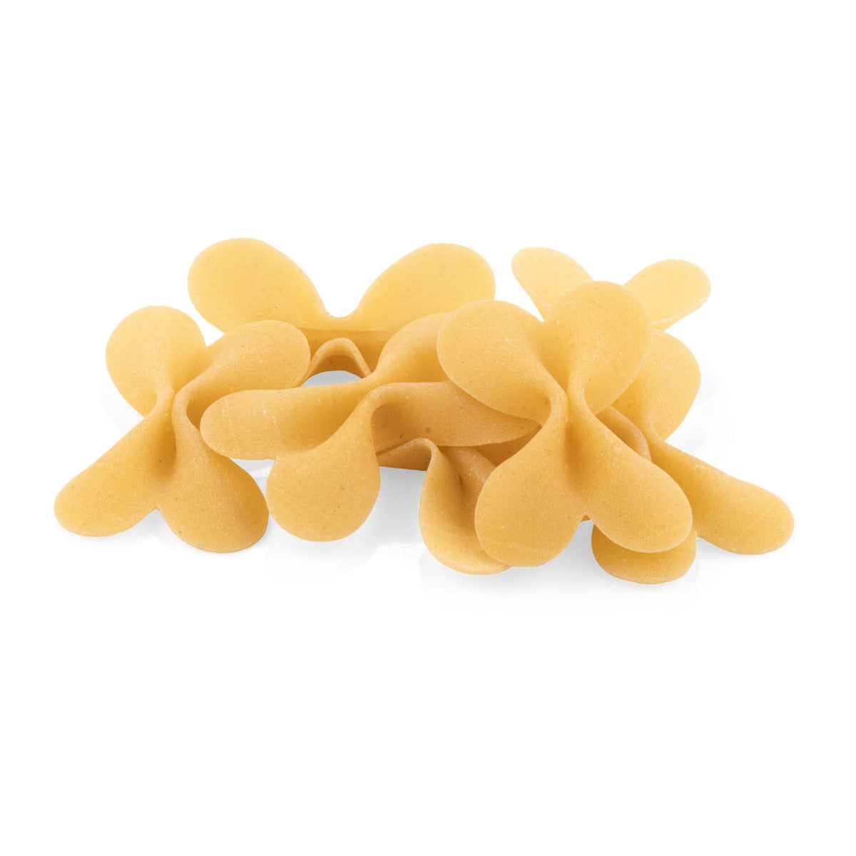LA FABBRICA DELLA 蝴蝶粉  (500g)