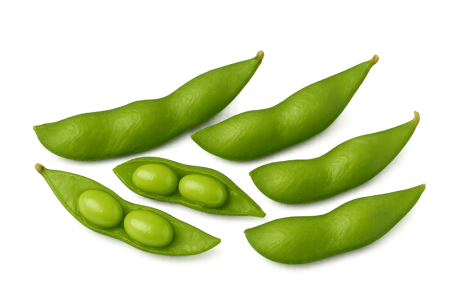 Japanese Edamame Bean  (500g)