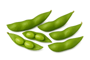 Japanese Edamame Bean  (500g)