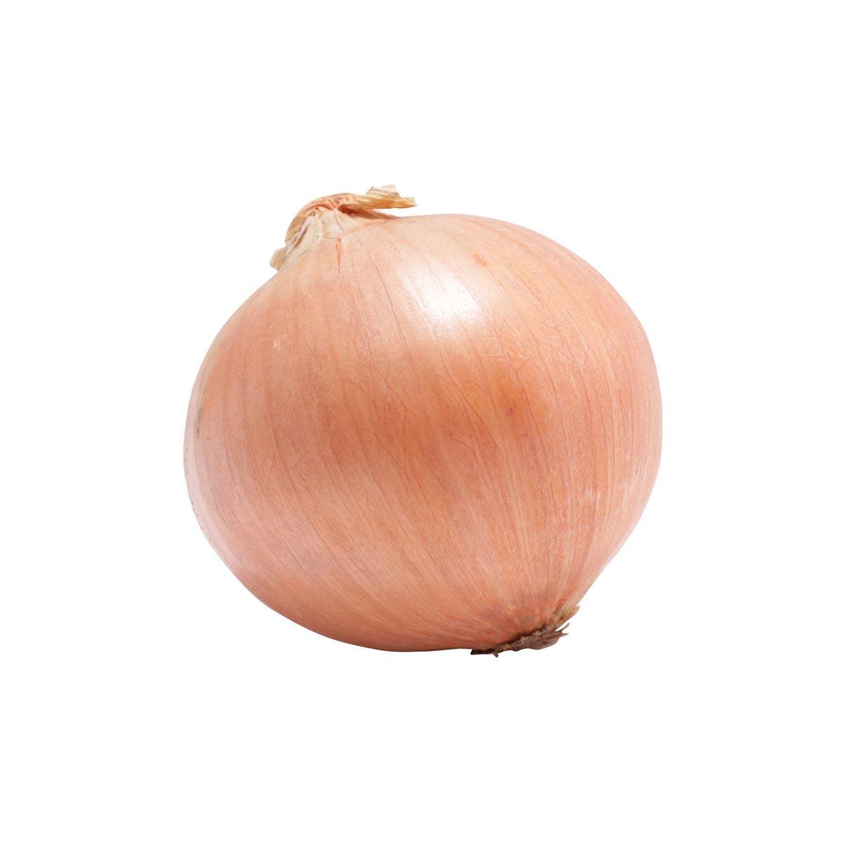 日本有機洋蔥 (600g)