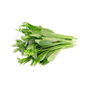 KAWABE FARM 日本川邊農園菜心 (600g)