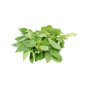 FARMACY 本地新鮮意大利羅勒 (1pack)