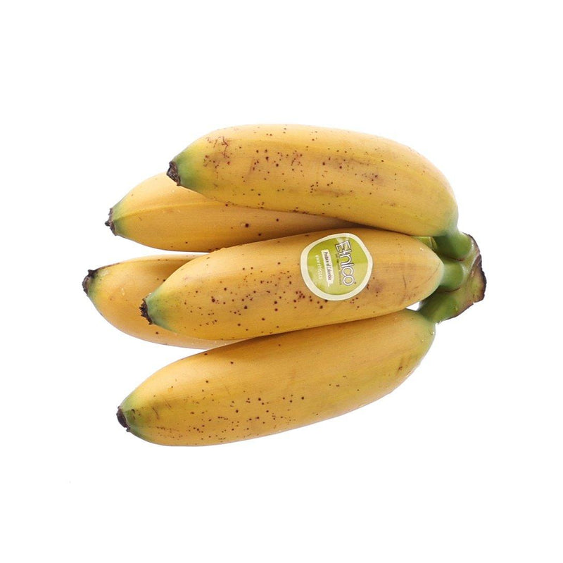 Colombian Baby Banana  (600g)
