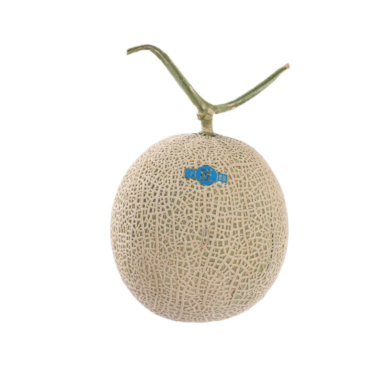 Japan Kumamoto Oyama Farm Takumi Arus Melon  (1pc)
