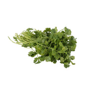 肯尼亞芫荽(包裝) (1pack)