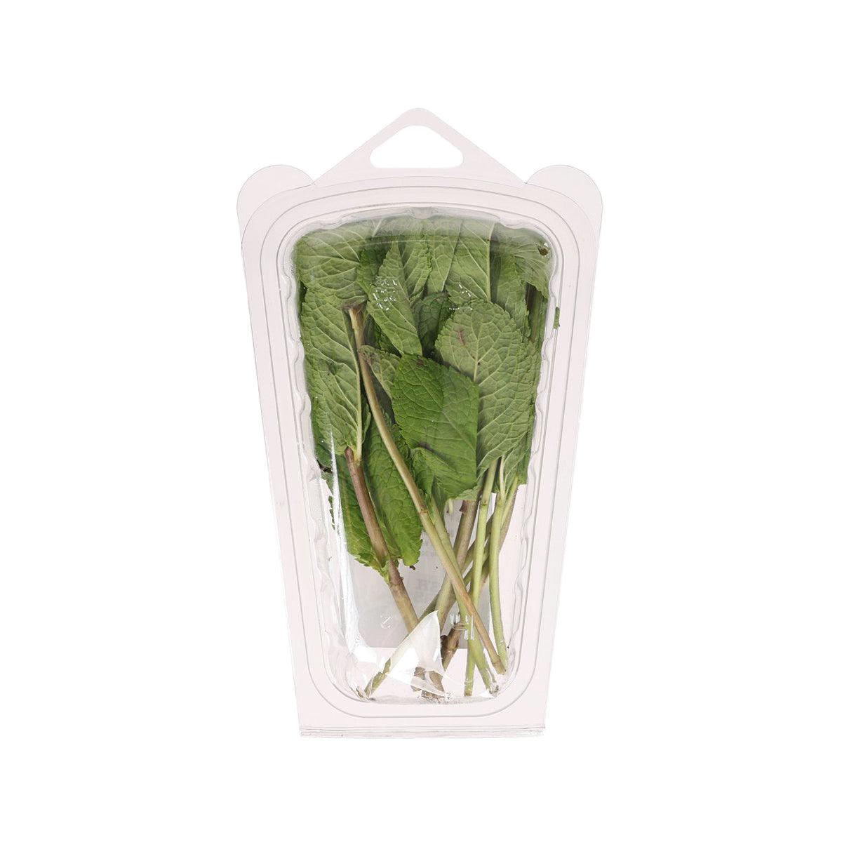 肯尼亞薄荷(包裝) (1pack)