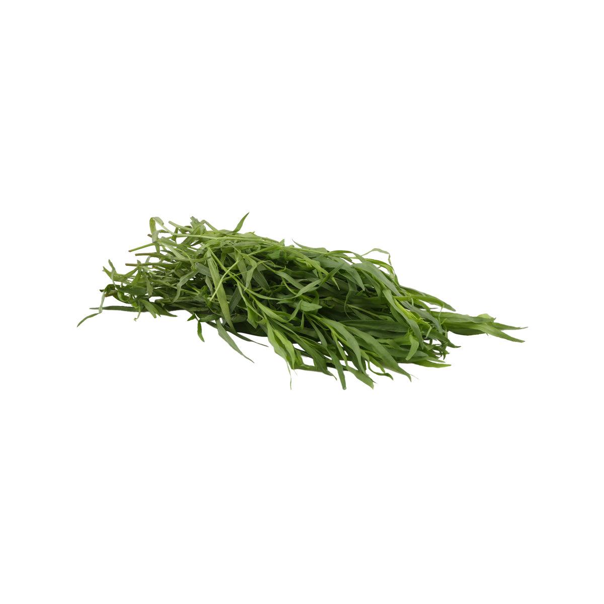 肯尼亞龍蒿(包裝) (1pack)