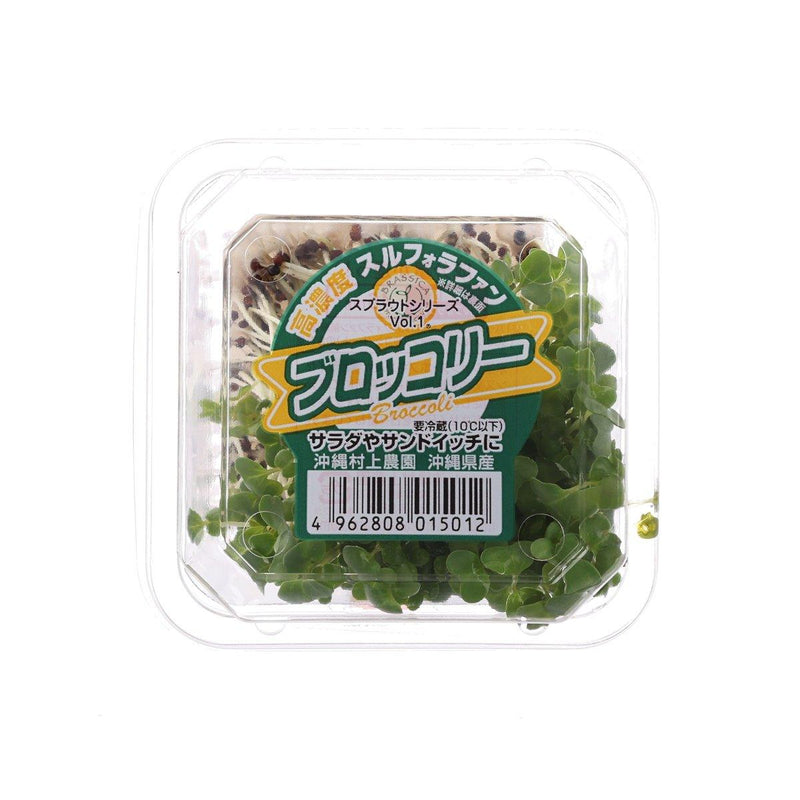Japanese Broccoli Sprout