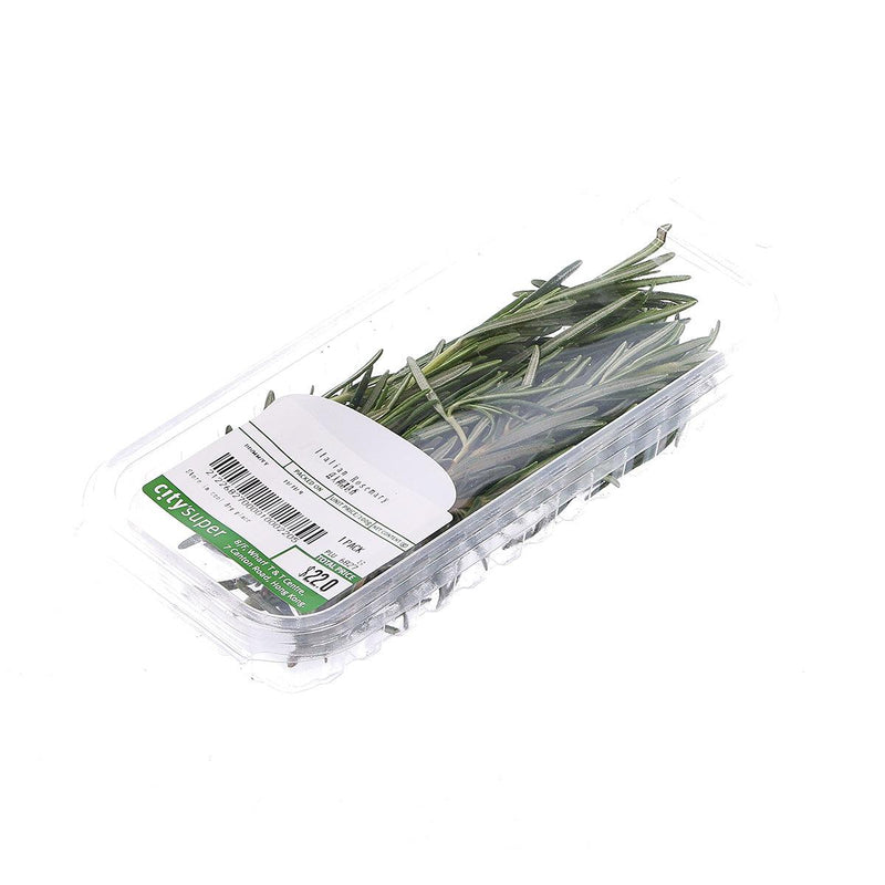 Italian Rosemary  (1pack)