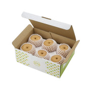 Japan Kumamoto Kotonomi Akiduki Pear Gift Box  (1pack)