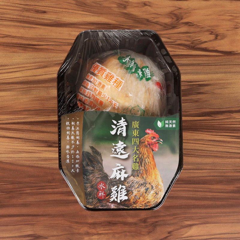 中國冰鮮清遠麻雞  (1pc)