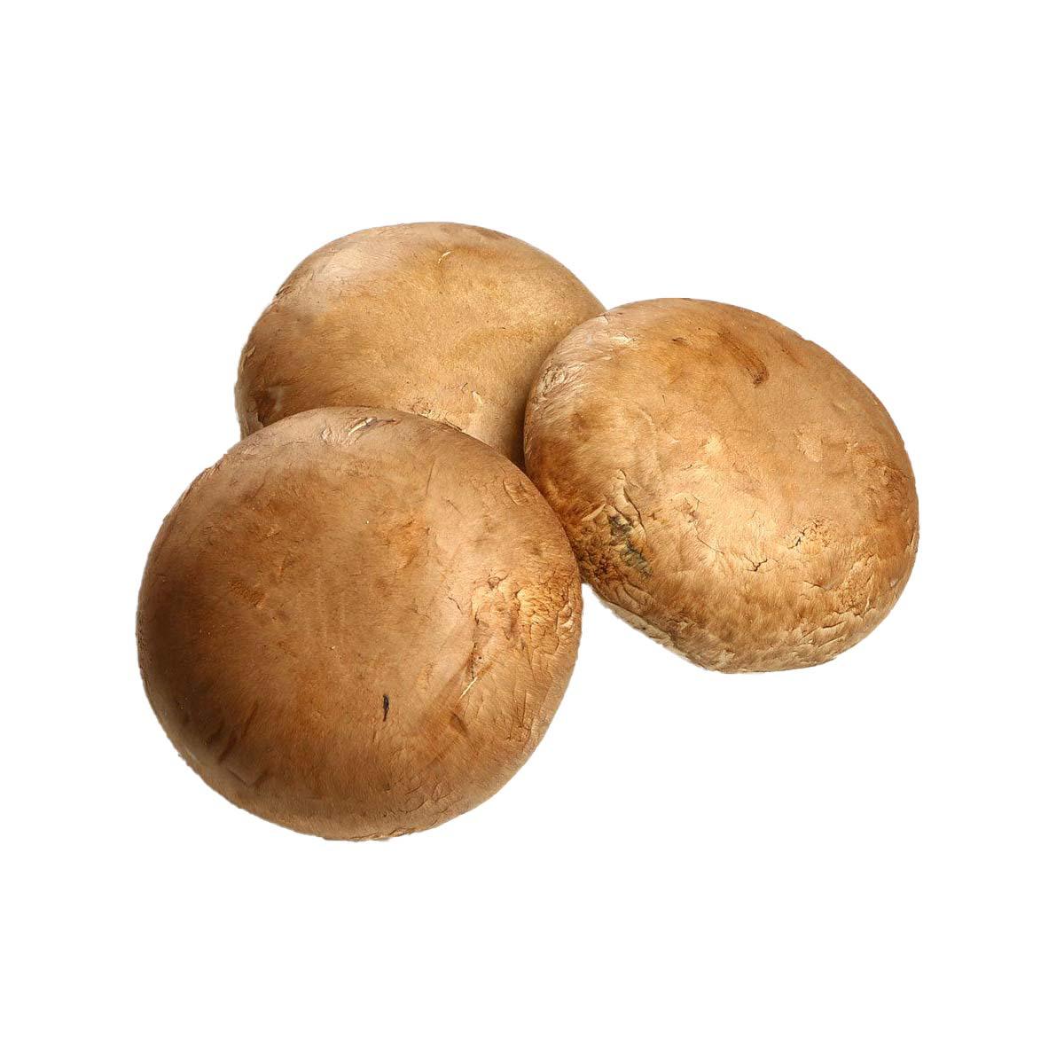 Japanese Daikoku Shimeji Mushroom  (1pack)