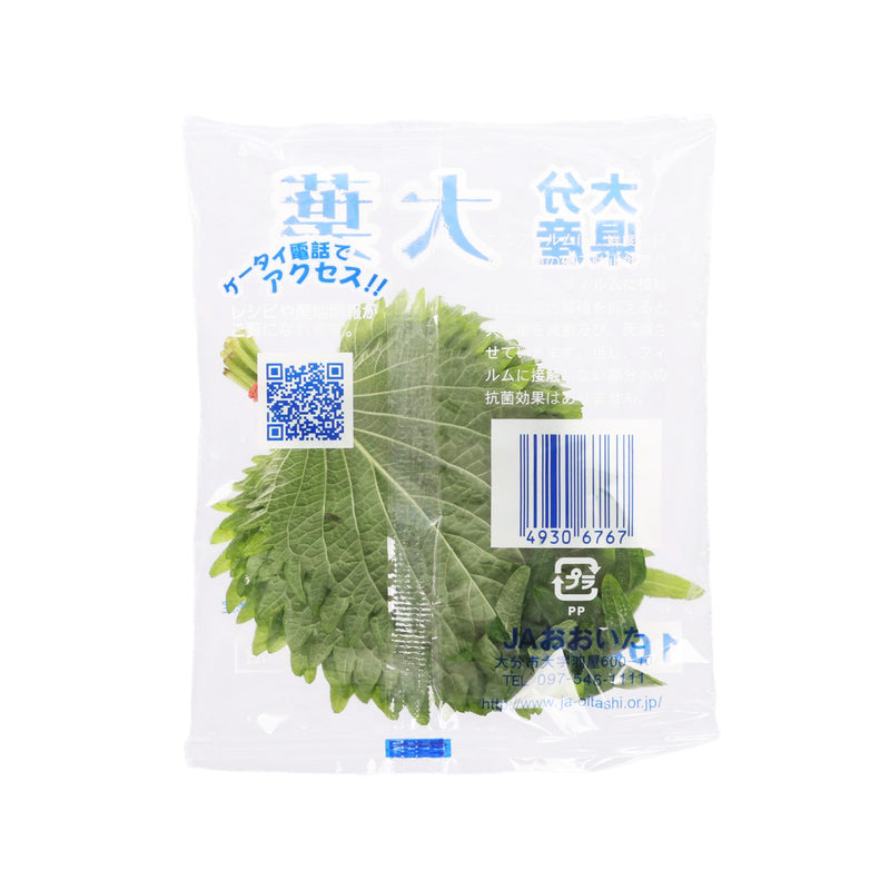 Japanese Ohba Leave  (1pack)