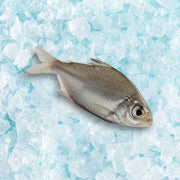 FMO 野生速凍梭羅魚 (600g)