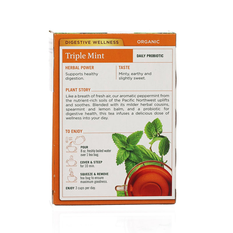 TRADITIONAL MEDICINALS Organic Peppermint Delight Probiotic Tea Bag  (24g)