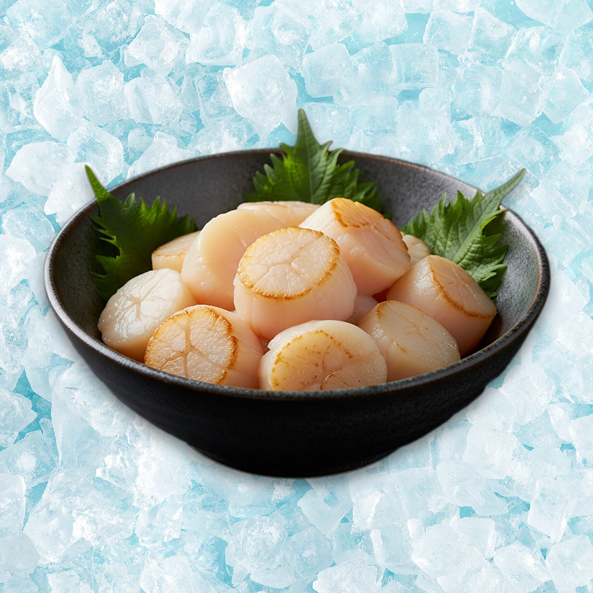 日本北海道急凍熟帶子 (1kg)