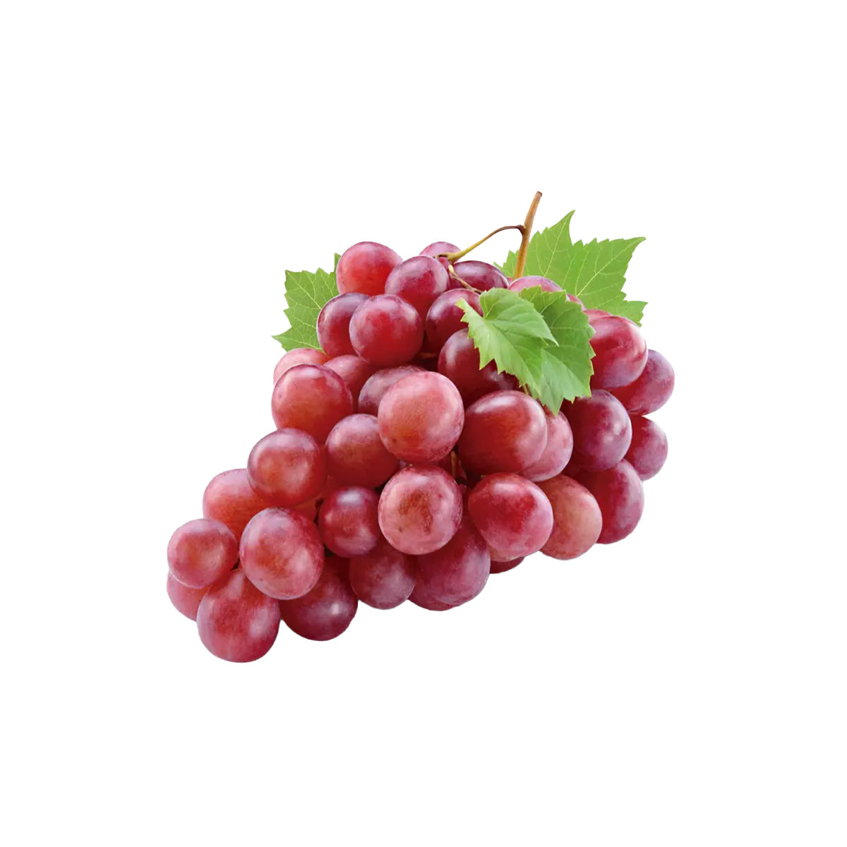 Japan Izumi Farm Fuji No Kagayaki Black Shine Muscat Grape  (600g)