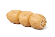 Chinese Lotus Root  (1pack)