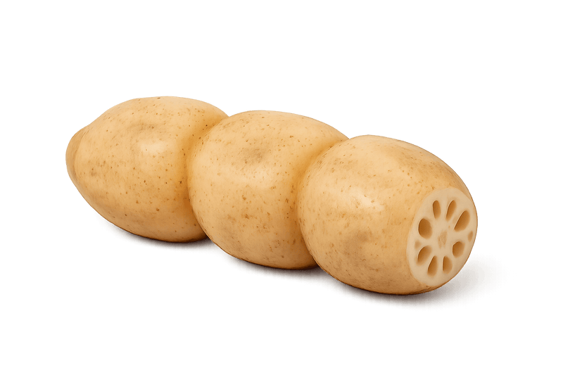 Chinese Lotus Root  (1pack)