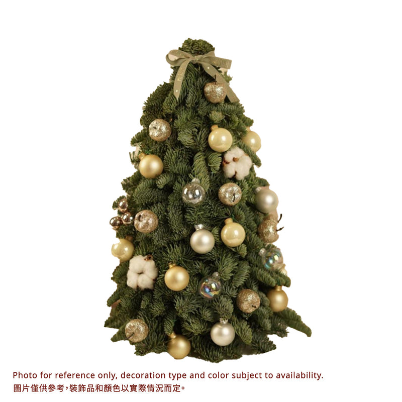 Xmas Nobilis Tree 60cm